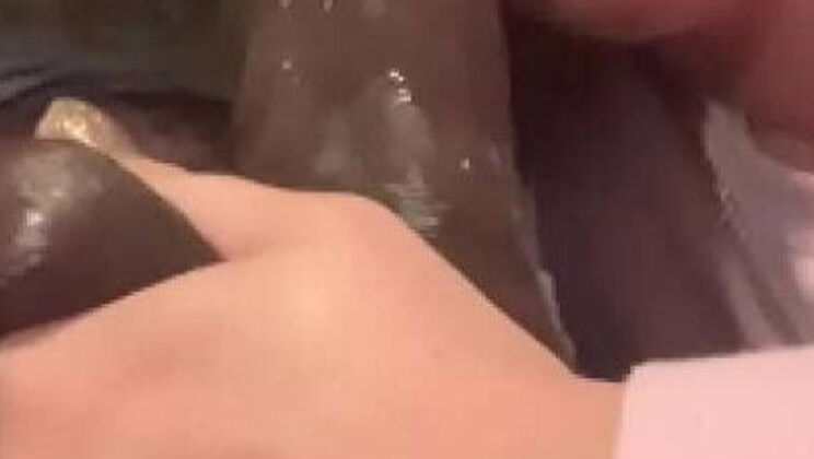 Cum Filled Birthday Wish