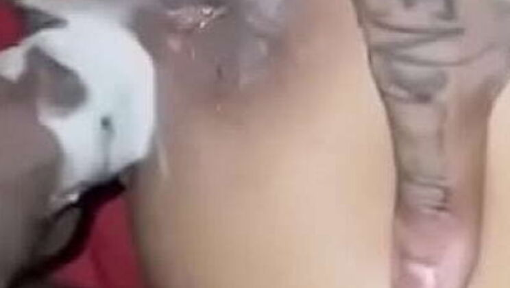 Shaved pussy creaming hard in doggystyle