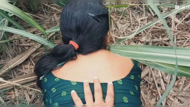 Desi Bhabhi Hardcore Outdoor Fuck in Cornfield - Anal Creampie and Bloody Ass Action
