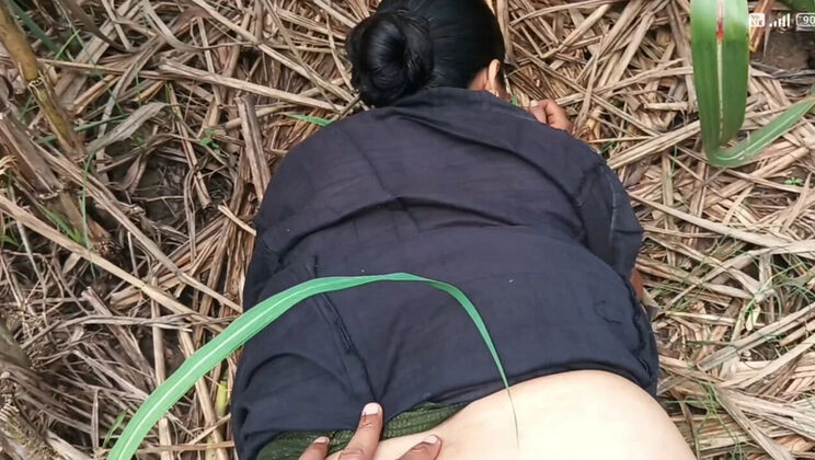 Desi Bhabhi Hard Anal Pain Fucking in Sugarcane Field Indian Sex Video
