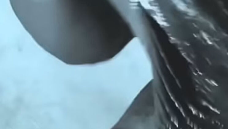 BBCGodaddy Drills and Stretches Slut Till She Cums All Over His Big Black Cock - Solo Masturbation Close-Up