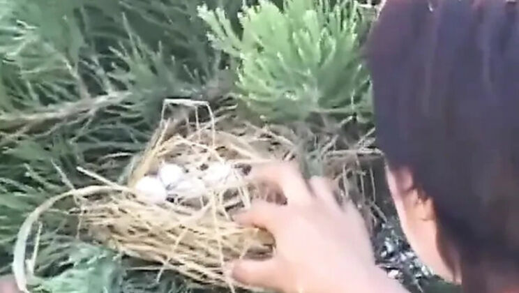 Hairy MILF Gets Fucked in the Garden